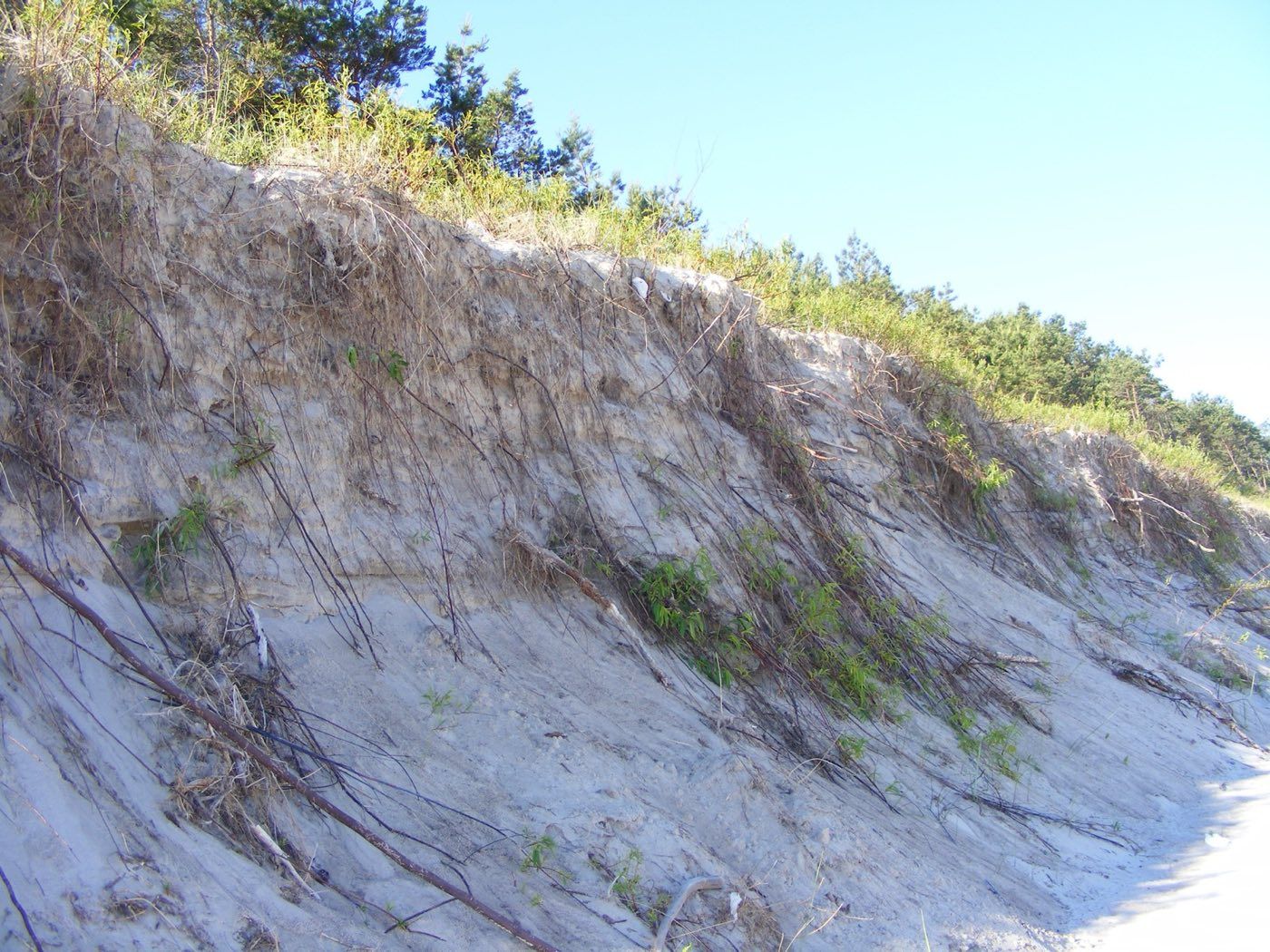 Cliff coast near Międzywodzie